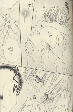 Page 14 of PORCELAIN