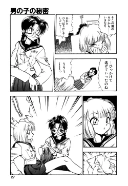 Page 28 of Otokonoko no Himitsu