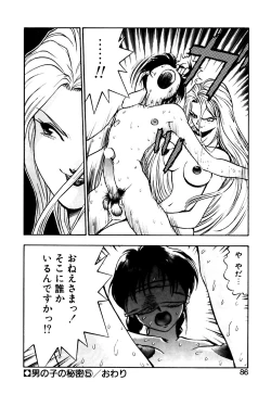 Page 87 of Otokonoko no Himitsu