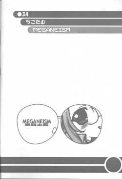 Page 33 of MEGANEISM
