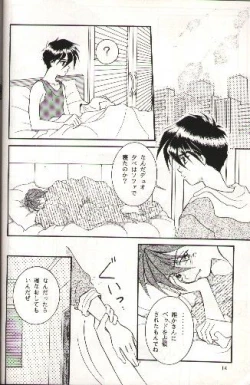 Page 11 of SNOW GARDEN