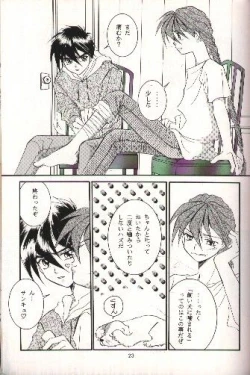 Page 20 of SNOW GARDEN