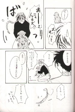 Page 26 of SNOW GARDEN