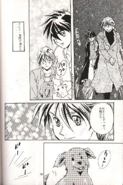 Page 29 of SNOW GARDEN