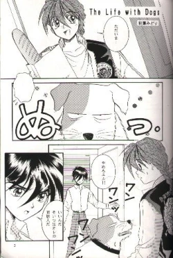 Page 2 of SNOW GARDEN