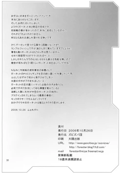 Page 29 of RUDY GARNET