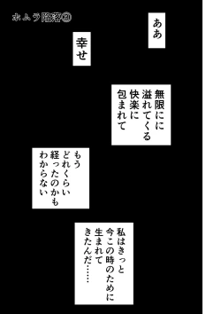 Page 43 of BLADE SET DX