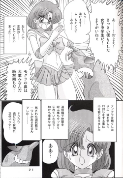 Page 21 of Mizuno Ami Nikki Z