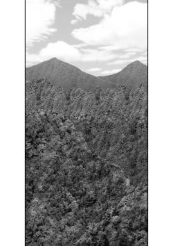 Page 4 of Irregularity Muu Hantaa ... devil person religious community II