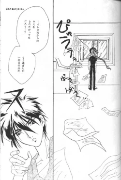 Page 21 of Amaryllis