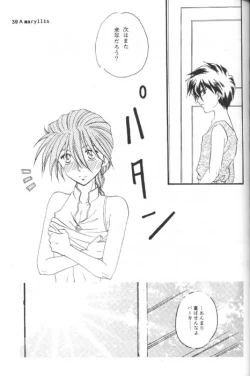 Page 37 of Amaryllis