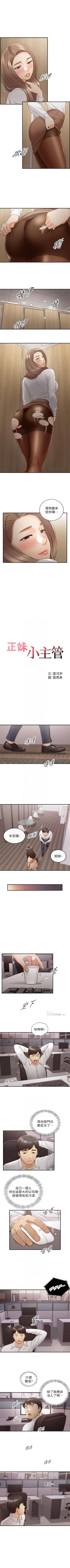 Page 331 of 正妹小主管 1-65 官方中文（連載中）