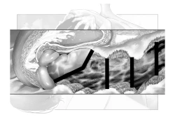 Page 96 of Kousai Bare, Koubu Zaseki de Netorare Choukyou