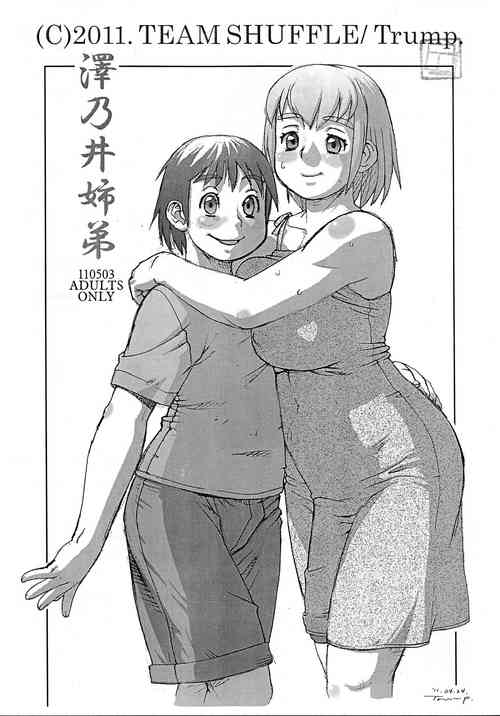 Download Sawanoi Shitei