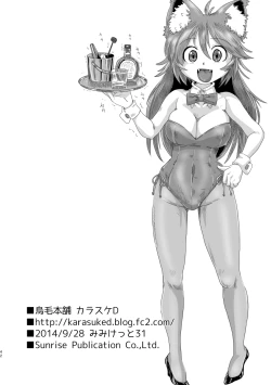 Page 41 of LumiChro 2