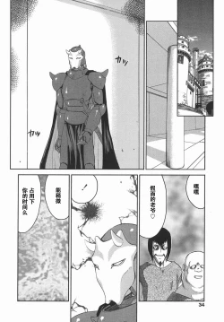 Page 34 of Kamen no Kishi Orleana Kouhen