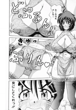 Page 25 of Bakunyuu Funsui