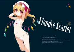 Page 8 of Touhou Shungashuu Youyuugiroku