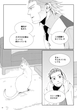 Page 33 of Flight※ Web Sairoku