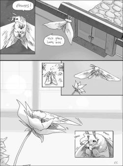 Page 13 of Light of Love