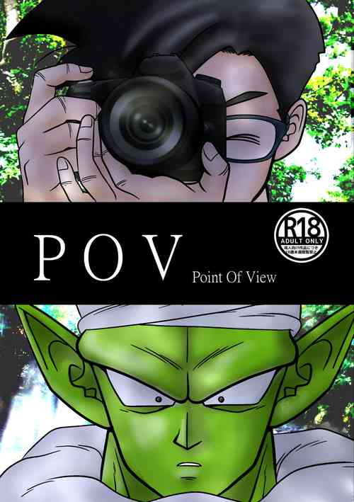 Download POV