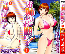 [Kawamori Misaki] Oneesama ni onegai! Vol 1