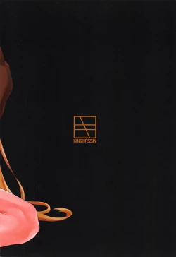 Page 27 of SeikishiDegenerate Holy Knight