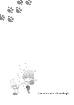 Page 25 of Noraneko Shoujo to no Kurashikata 2 - How to Live with a Noraneko Girl.