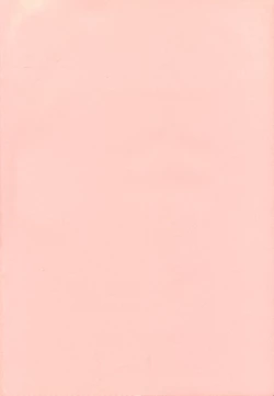 Page 3 of Bakusun Attention! Burst!! Count Down 0.1