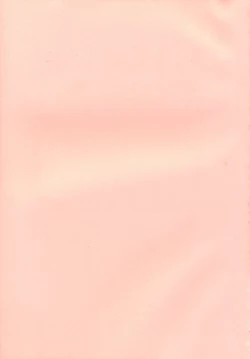 Page 58 of Bakusun Attention! Burst!! Count Down 0.1