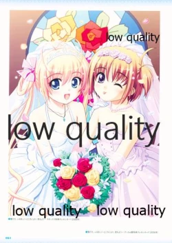 Page 66 of Nonohara Miki artworks De Historia Puellarum