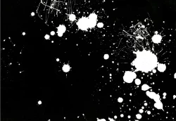 Page 19 of S.B.O.T.D.split