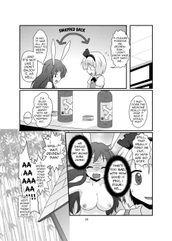 Page 24 of Gyokuto ga Hanjin de Hanjin ga Gyokuto de | Reisen Becomes Youmu and Youmu Becomes Reisen