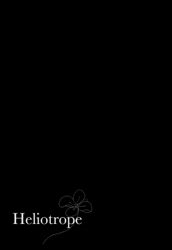 Page 12 of Heliotrope