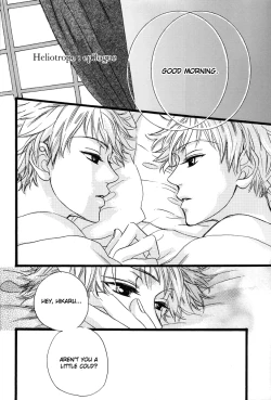 Page 21 of Heliotrope