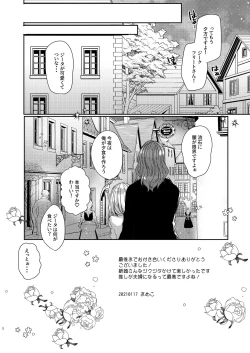 Page 5 of Siegfriedsan ni Narimashita