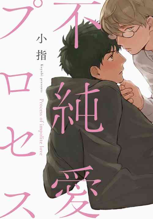[Koyubi] Fujunai Process | 不纯爱Process [Chinese] [拾荒者汉化组] [Digital]