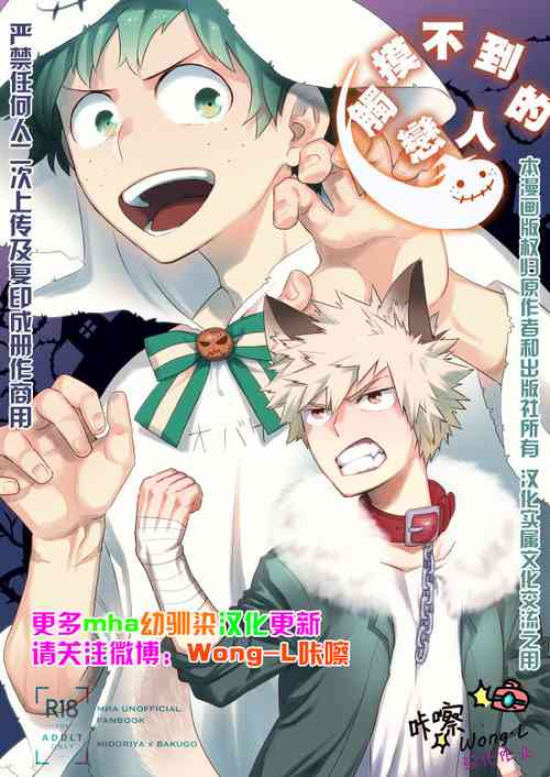 Download Invisible Lover