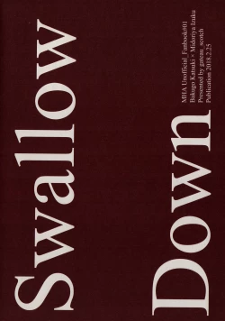 Page 2 of SwalloW DowN