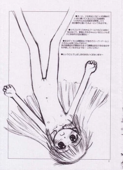 Page 2 of Licca Vignette Enikki - Junbigou