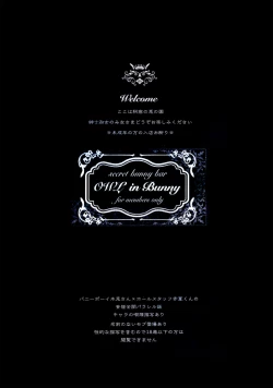 Page 4 of Secret Bunny