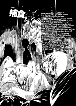 Page 4 of HEAD SHOT File.00