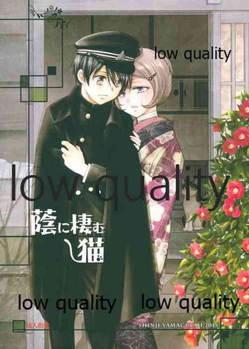 Download 蔭に棲む猫