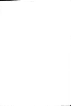 Page 43 of Tenimuhou Gaiden