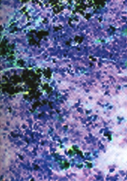 Page 22 of JILL HAZARD 2