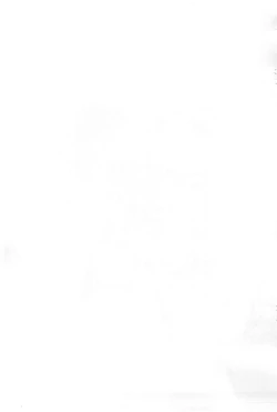 Page 13 of Fukanzen Nenshou 11