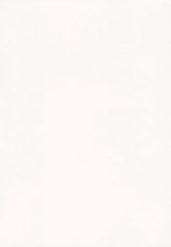 Page 41 of Shiru Nikki