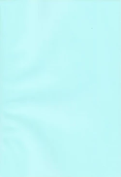 Page 3 of Pillow Color