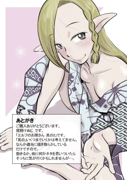 Page 27 of Elf no Oyomesan 2