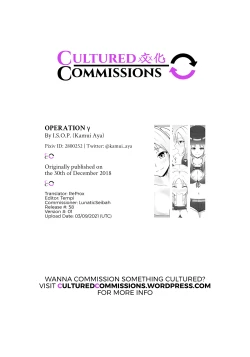 Page 22 of OPERATION γ